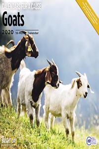 GOATS WALL CALENDAR 2020