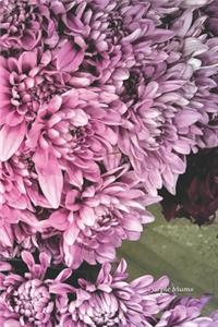 Purple Mums Journal