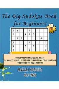 The Big Sudokus Book for Beginners #11