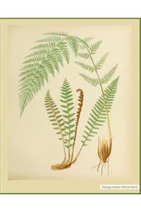 Vintage Nature Sketch Book