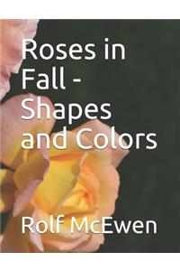 Roses in Fall - Shapes and Colors