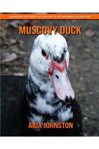 Muscovy Duck: Amazing Pictures & Fun Facts on Animals in Nature