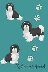 My Havanese Journal