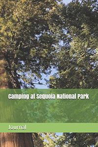 Camping at Sequoia National Park