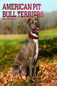 American Pit Bull Terriers 2023 Square Foil