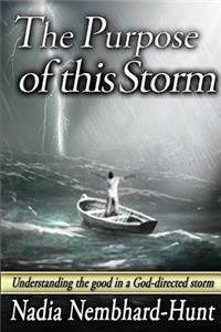 Purpose of This Storm