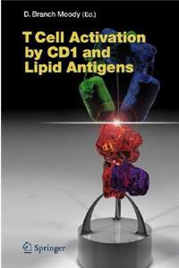 T Cell Activation by CD1 and Lipid Antigens