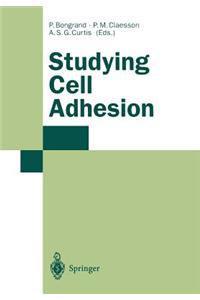 Studying Cell Adhesion