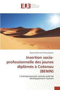 Insertion Socio-Professionnelle Des Jeunes Diplômés À Cotonou (Benin)