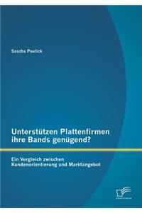 Unterstützen Plattenfirmen ihre Bands genügend? Ein Vergleich zwischen Kundenorientierung und Marktangebot