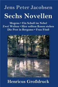 Sechs Novellen (Großdruck)