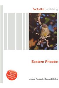 Eastern Phoebe