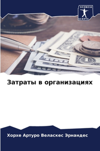 Затраты в организациях