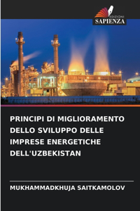 Principi Di Miglioramento Dello Sviluppo Delle Imprese Energetiche Dell'uzbekistan