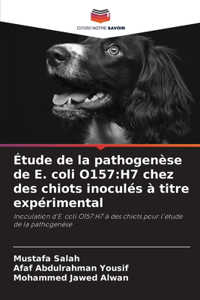 Étude de la pathogenèse de E. coli O157: H7 chez des chiots inoculés à titre expérimental