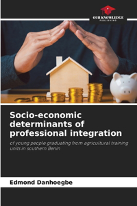 Socio-economic determinants of professional integration
