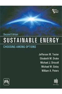 Sustainable Energy: Choosing Among Options