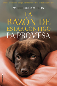 Razón de Estar Contigo. La Promesa / A Dog's Promise