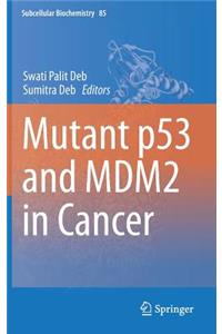 Mutant p53 and MDM2 in Cancer