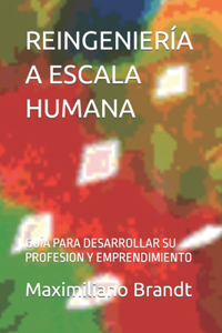 Reingeniería a Escala Humana