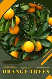 Orange Trees