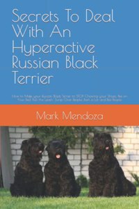 Secrets To Deal With An Hyperactive Russian Black Terrier