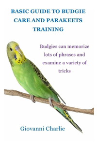 Basic Guide to Budgie Care and Parakeets Training