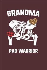 Grandma Of A Pao Warrior