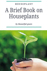 Houseplant