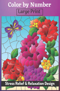 Color by Number Large Print Stress Relief & Relaxation Design
