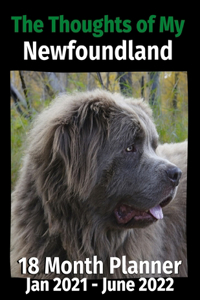 Thoughts of My Newfoundland: 18 Month Planner Jan 2021-June 2022