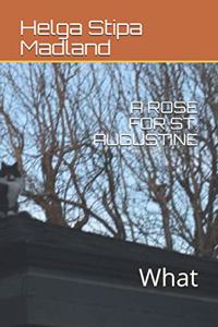 A Rose for St. Augustine