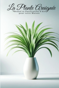La Plante Araignée