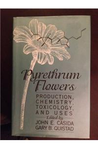 Pyrethrum Flowers