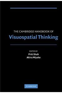 Cambridge Handbook of Visuospatial Thinking