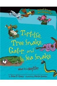 Tortoise, Tree Snake, Gator, and Sea Snake