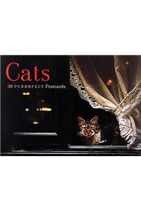 Cats Postcard Book