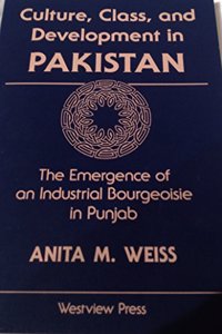 Culture, Class, and Development in Pakistan: The Emergence of an Industrial Bourgeoisie in Punjab