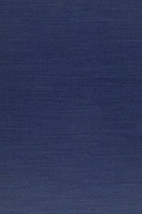 Radical Socialism in Czechoslovakia