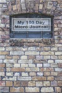 My 100 Day Micro Journal