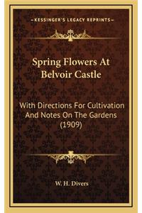Spring Flowers At Belvoir Castle