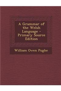A Grammar of the Welsh Language - Primary Source Edition