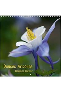 Douces Ancolies 2017