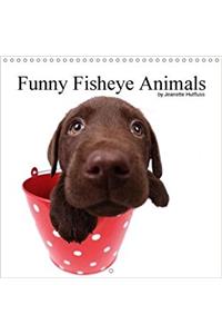 Funny Fisheye Animals 2018