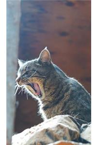 Kid's Petite Barn Cat Journal - Volume Two