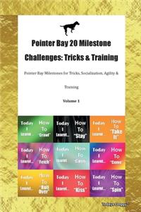 Pointer Bay 20 Milestone Challenges
