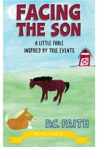 Facing the Son