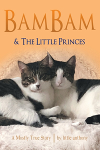 Bambam & the Little Princes