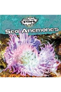 Sea Anemones