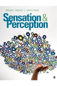 Sensation and Perception